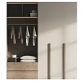 Sleek Modern Wooden Wardrobe With Hanging Clothes Folded Items And Lighting