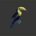 Vibrant Toucan Bird With Multicolored Beak And Black Plumage Standing Isolated