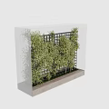 Lush Green Vines Growing On Black Metal Grid Frame As Indoor Decorative Partition