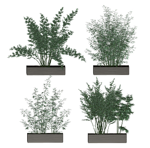 Modern potted bamboo 3d model