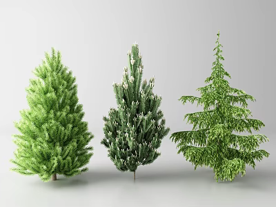 Three Different Types of Green Trees with Varied Foliage and Shapes 3d model