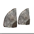 Translucent Rock Slices With White Brown Textures And Dark Edges 3d model