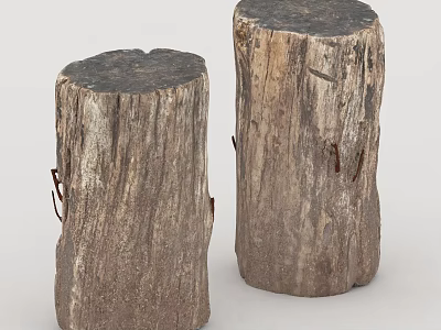 Rustic Wooden Tree Stumps with Natural Texture as Decorative Furniture Pieces 3d model