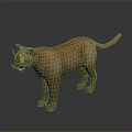 Realistic Brown Puma 3D Model in Standing Pose on Dark Background 3d model