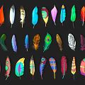 Colorful Feather Decorative Ornament Set with Various Patterns and Vibrant Hues