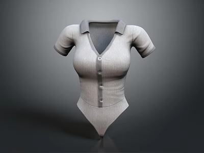 Gray Collared V Neck Bodysuit With Short Sleeves And Front Buttons 3d model