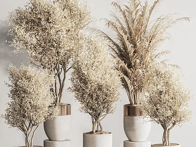 Elegant Decorative Bonsai Potted Plants In White Ceramic Pots With Copper Accents For Indoor Decor 3d model