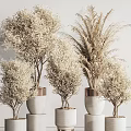 Elegant Decorative Bonsai Potted Plants In White Ceramic Pots With Copper Accents For Indoor Decor