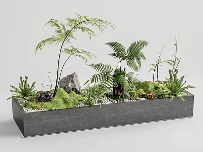 Lush Bonsai Planter with Ferns Rocks and Moss in Gray Rectangular Container 3d model