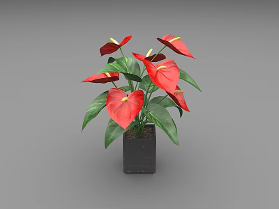 Beautiful Potted Plant With Red Flowers Green Leaves And Black Square Pot 3d model