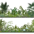 Lush Indoor Green Plant Wall With Various Tropical Ferns And Palm Leaves