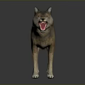Realistic Wolf Figurine Standing with Mouth Open Detailed Fur Texture on Black Background with Reflection