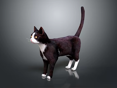 Black and white cat standing on gray surface with visible reflection 3d model