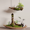 Natural Decorative Ornament Set With Hanging Wooden Branch Moss Mini Plants And Boat Shaped Base