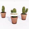 Three Cactus Potted Plants in Terracotta Pots for Indoor Home Decor
