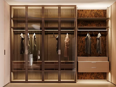 Modern Wooden Wardrobe Interior With Glass Doors Hanging Area And Drawers 3d model