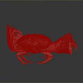 Red And White Patterned Crab With Large Claws Shiny Shell And Reflection On Smooth Surface 3d model