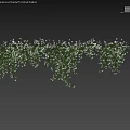 Garden Decor With Lush Green Leaves And Small White Flowers For Natural Fresh Ambiance