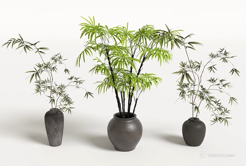 Decorative Bamboo Bonsai Plants in Gray Ceramic Pots on White Background 3d model 