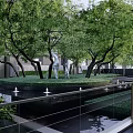 Modern Garden Landscape With Trees Lawn Stone Pathway And Seating Area