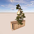Bonsai Tree With Curved Trunk On Wooden Stand Under Blue Sky And White Clouds