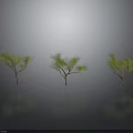 Three Green Trees Standing on Black Surface With Clear Reflections Against Gray Background 3d model