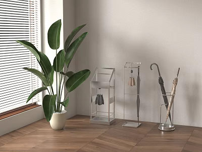 Interior Featuring Large Green Plant Transparent Umbrella Stand Transparent Shoe Rack Wooden Floor And Blinds 3d model