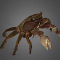 Detailed View Of Brown Crab With Prominent Claws And Natural Shell Texture