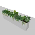 Lush Green Plant Combination in White Rectangular Planters with Trailing Vines and Foliage 3d model