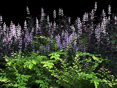 Lush Floral Display With Purple White Flowers And Vibrant Green Foliage 3d model