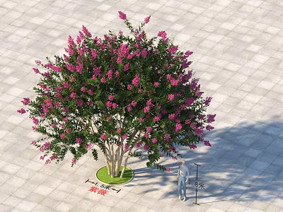 Arbor With Pink Flowers And Green Leaves On Gray Square Tiles People Measuring Height 3d model