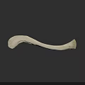 Human Chest Bone White Curved Anatomical Structure For Medical Education
