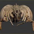 Detailed Medical Device Human Skeleton Model for Anatomical Education and Research