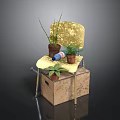 Yellow Velvet Chair Placed On Old Cardboard Box With Multiple Potted Plants