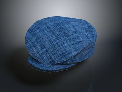 Blue Plaid Hat with Stylish Design for Casual Daily Fashion Wear 3d model