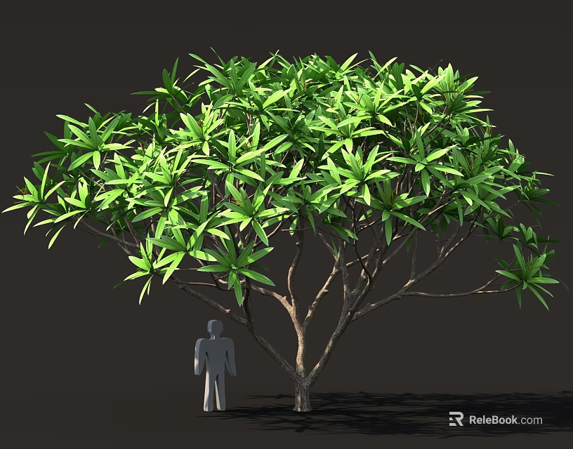 Large Green Leafy Tree With Thick Trunk And Human Figure For Scale 3d model 