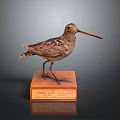 Taxidermy Bird Specimen Standing on Wooden Base With Labeled Plaque