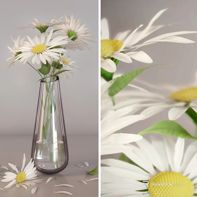 White Daisies with Yellow Centers in Clear Glass Vase and Fresh Green Leaves 3d model 