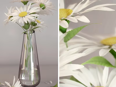 White Daisies with Yellow Centers in Clear Glass Vase and Fresh Green Leaves 3d model