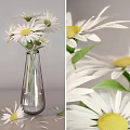 White Daisies with Yellow Centers in Clear Glass Vase and Fresh Green Leaves