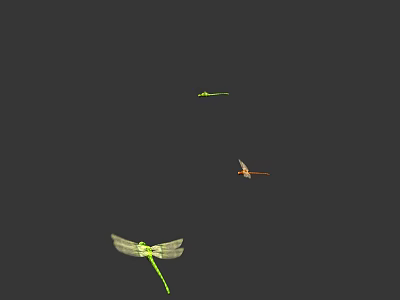 Three Colorful Dragonflies Flying With Green And Orange Bodies On Black Background 3d model