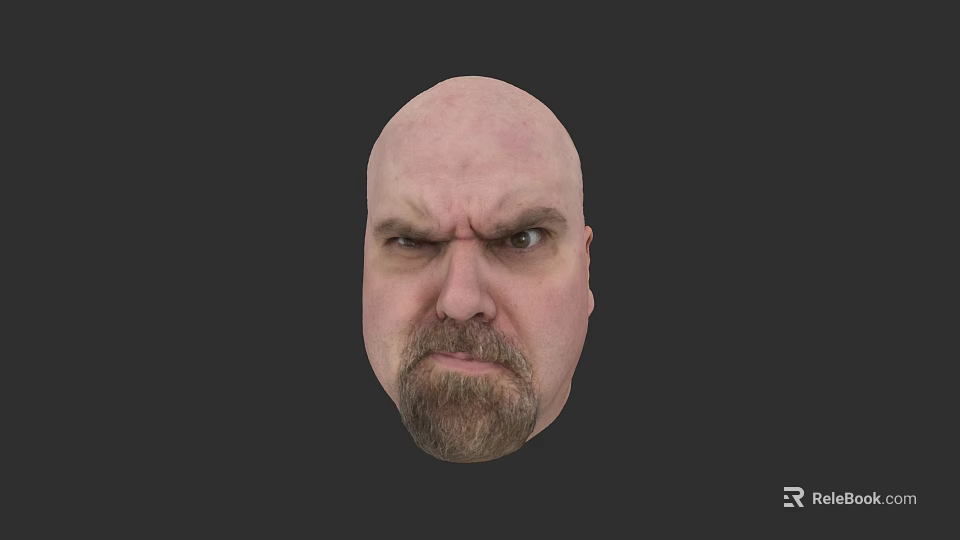Mirror Reflecting Bald Man with Beard and Serious Expression on Dark Background 3d model 