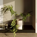 Cozy Corner with Hanging Bamboo Painting Vase Fresh Green Plants and Soft Light