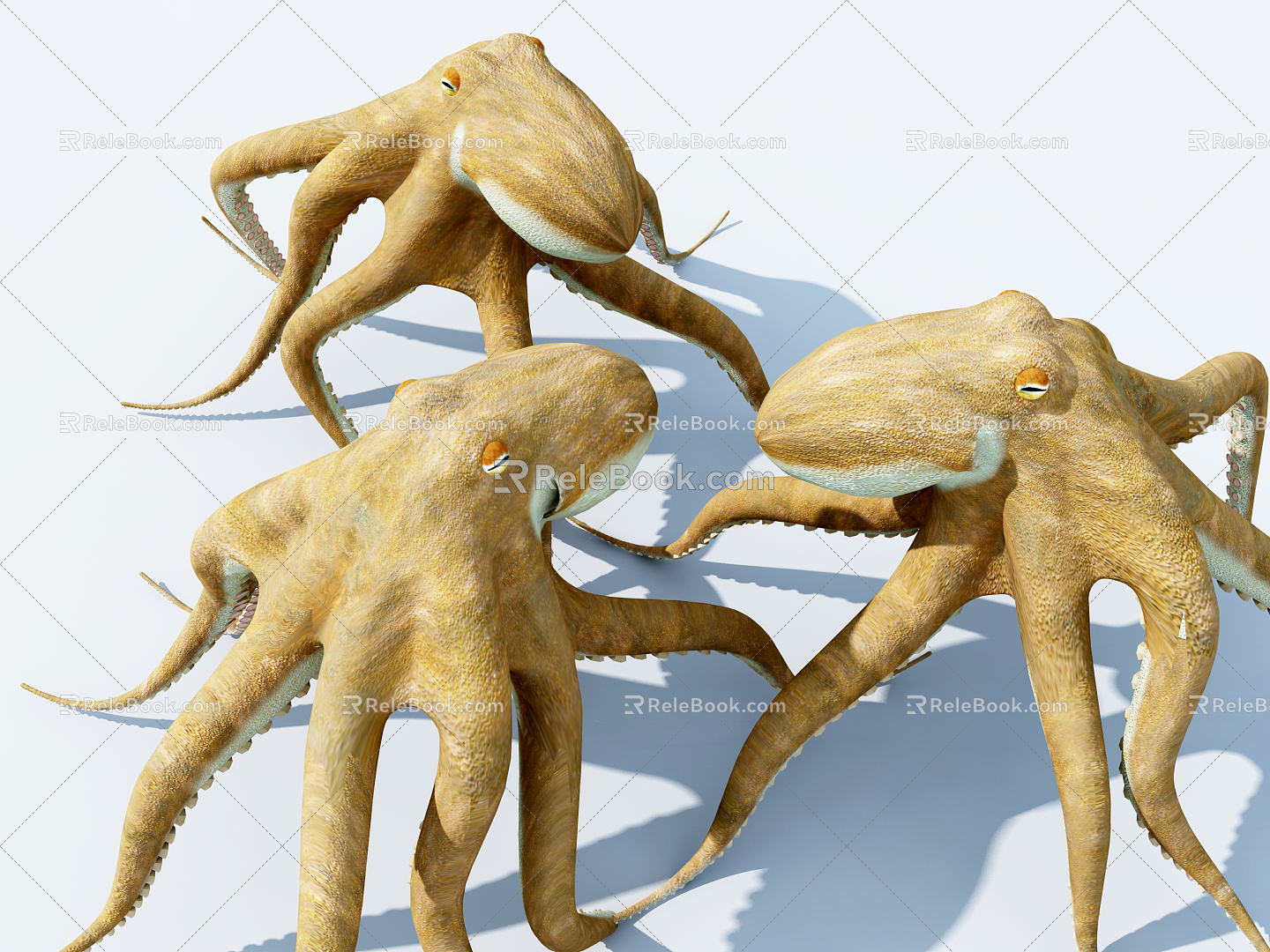 Modern Octopus 3d model