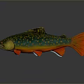 Colorful Aquatic Animal Green Fish With Yellow Spots Red Tail And Red Fins Display Model