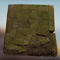 Lush Green Moss Growing On Cracked Stone Slab In Garden Ground