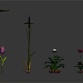 Colorful Flowers And Green Potted Plants With Long Stems On White Background
