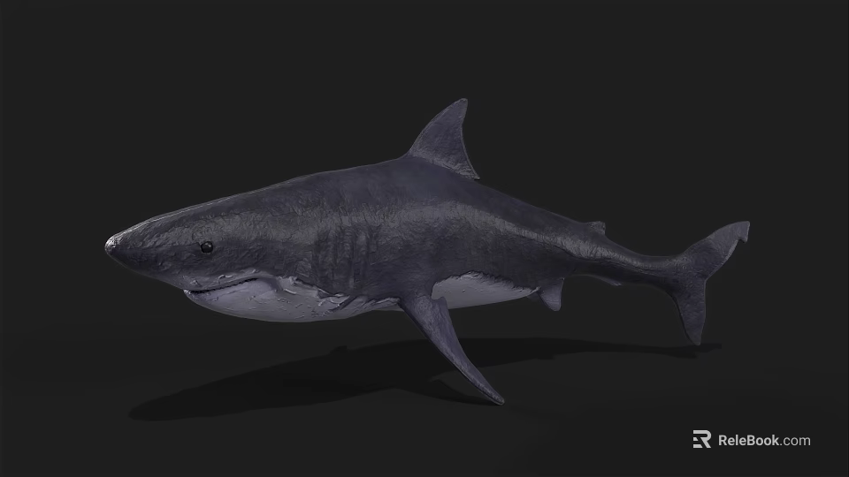 Detailed Realistic Great White Shark Marine Animal Underwater Predator 3d model 