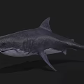 Detailed Realistic Great White Shark Marine Animal Underwater Predator