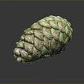 Close Up View Of Natural Pine Cone With Colorful Textured Scales On Dark Background